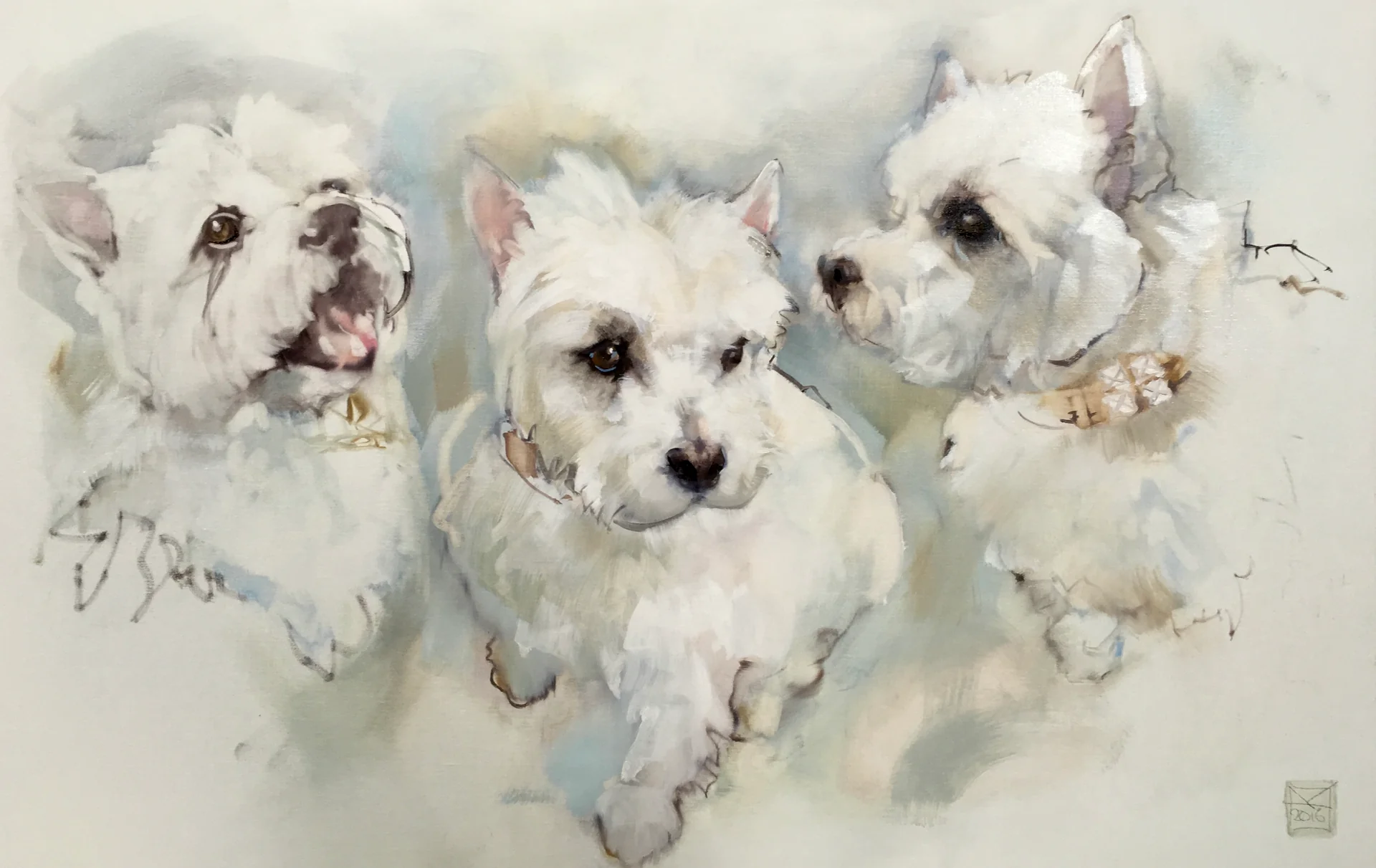 Dog Portraits