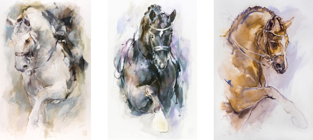 Dressage